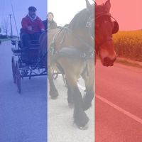 Saadeddine Thierry的照片