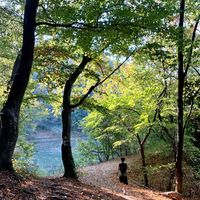 Fotos de Nikola Pavlovic