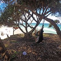 Rafael Guma的照片