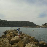 andreas koehler's Photo