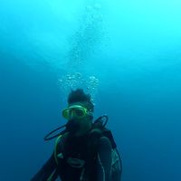 Harry Pasaribu's Photo