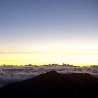 Shaktiti Boucher Larose的照片