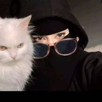 shimaa Ashrif的照片