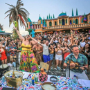 Brazilian Samba Band: Roda Da Holanda's picture