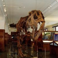 Denion Ymeri's Photo