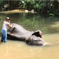 Masrura Ahmed的照片