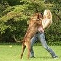 Mikaela Jensen-Roseman's Photo