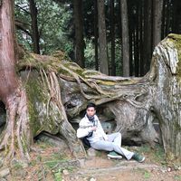 Thang Nguyen的照片