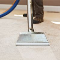 Best Carpet Cleaning Brighton的照片