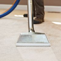 Best Carpet Cleaning Brighton's Photo