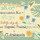Traditional music dance party (live music!)'s picture