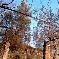 Фотографии пользователя Sheila Sakki