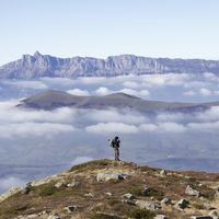 Yohan Luciano's Photo