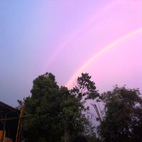 The_Halimun Project's Photo