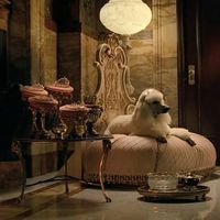 Anastasia Markina's Photo