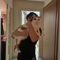 İbrahim Çakmak's Photo