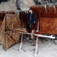 Adriana Romero Patrnogic的照片