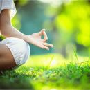 Yoga dans le jardin's picture