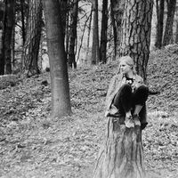 Photos de Julia Drapejkowska