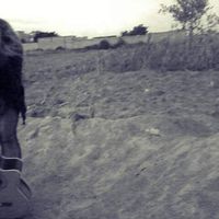 Galina Rayen's Photo