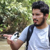 Harold Yaima的照片