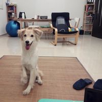 Fotos de Lorena Perez