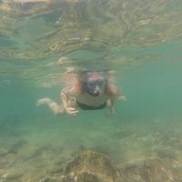 Sinah Katzer的照片