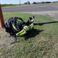 Gabriel Sandrin的照片