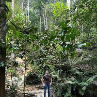 Sebastian Castelier's Photo