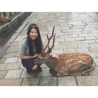 Photos de Helen Zhao