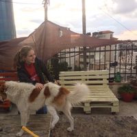 Insa Obrikat's Photo