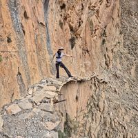 Constance Fang's Photo