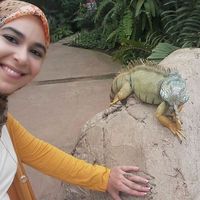 Jihane Tajeddine的照片