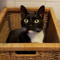 CyrilAlexKids's Photo