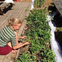 Ellen Obdrup的照片