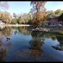 Parque Nacional Fuentes Brotantes 's picture