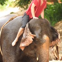 Fotos von Jake Medeiro