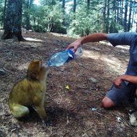 Tamás Orodán的照片