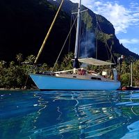 Damien  Raymond的照片