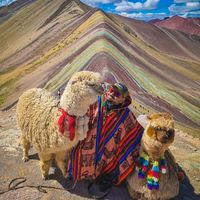 Raza  Khalid's Photo