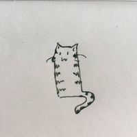 song jiayao的照片