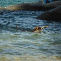 Mars Demeter的照片