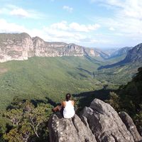 Natalia Albuquerque's Photo