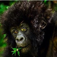 Fotos de Kelle Cunha