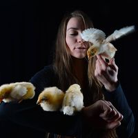 Anastasiya Yatsuk的照片