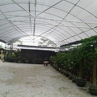 kim seng teu的照片