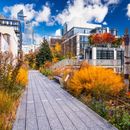 CouchCrash - Urban Hike The Highline and more...'s picture