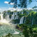 Iguazu Falls 's picture