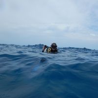 Elisa von Kobyletzki的照片