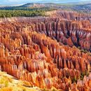 Immagine di Bryce Canyon And Horseshoe Bend 